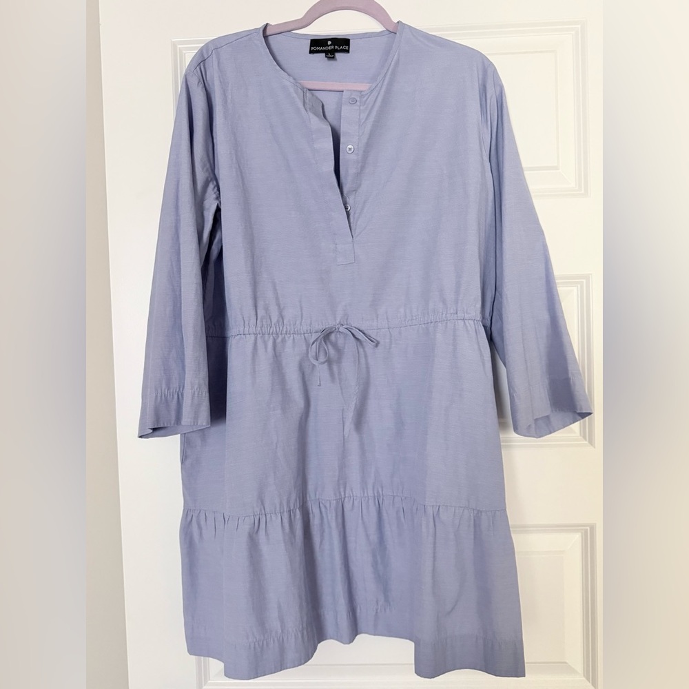 Pomander Place Blue Button-Up Dress